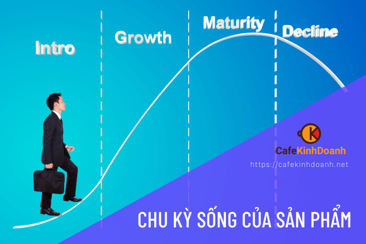 Chu kỳ sống của sản phẩm là gì? Chiến lược áp dụng trong Marketing hiệu quả