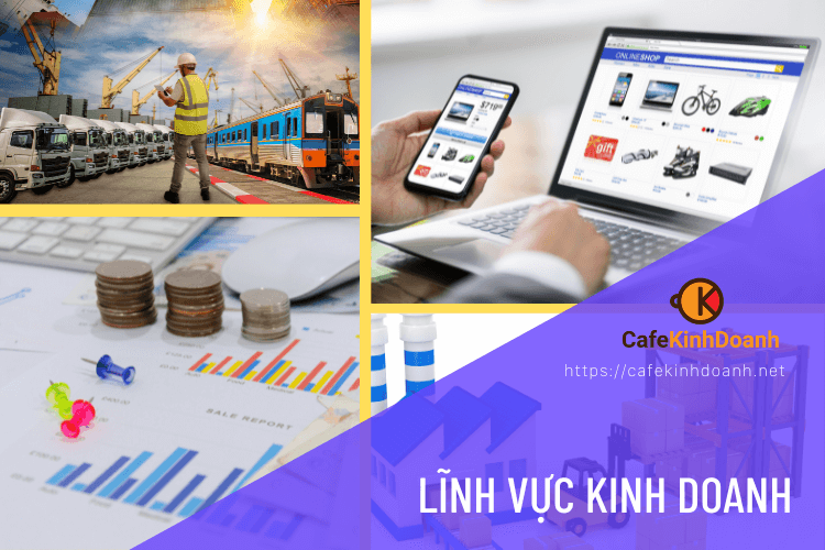 Các lĩnh vực kinh doanh